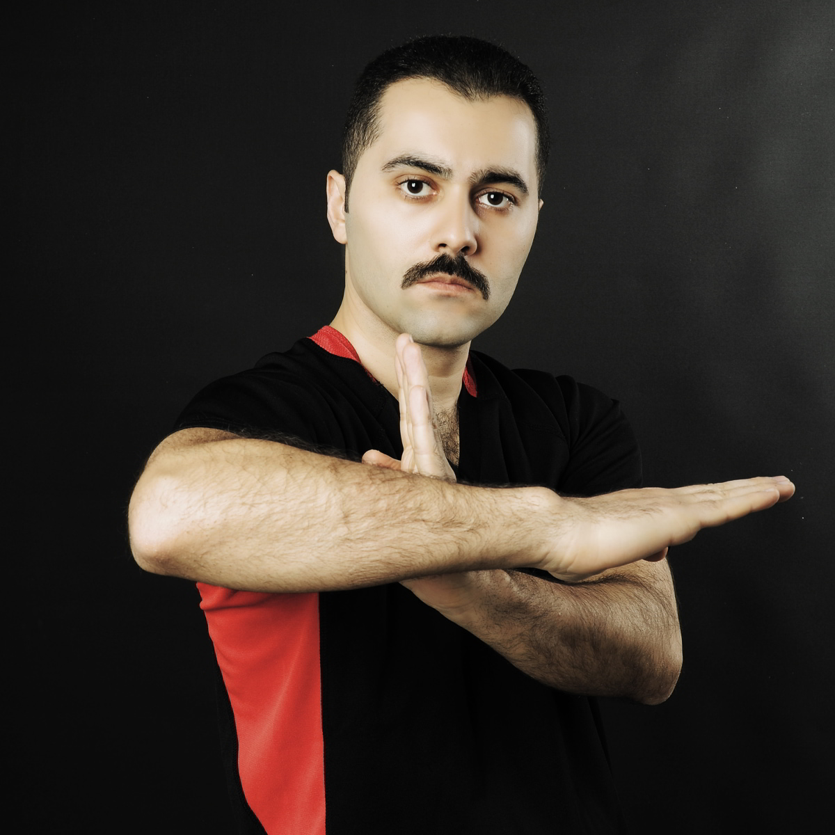 Wing Chun